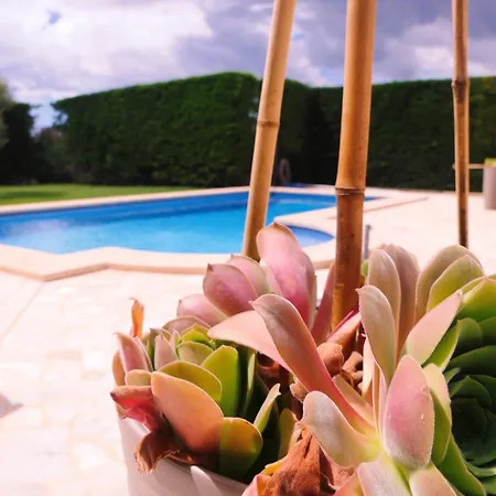 New, Premium Mit Starlight-pool! South-east Coast, Cala D Or * S'Horta